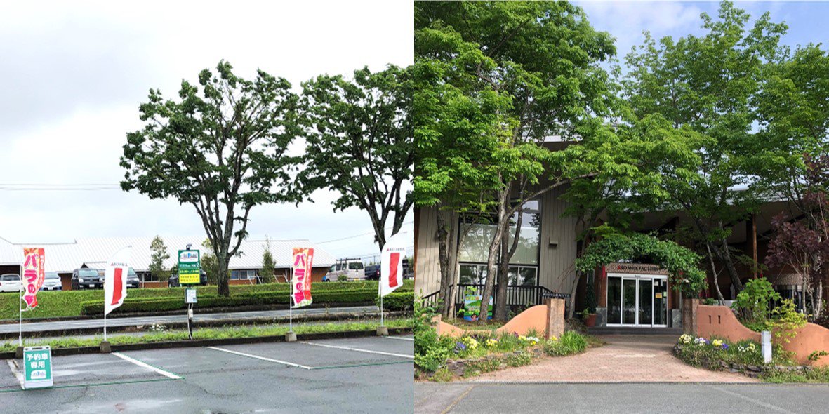 熊本県阿蘇市「RVパークsmart  ASO MILK FACTORY」OPENしました！